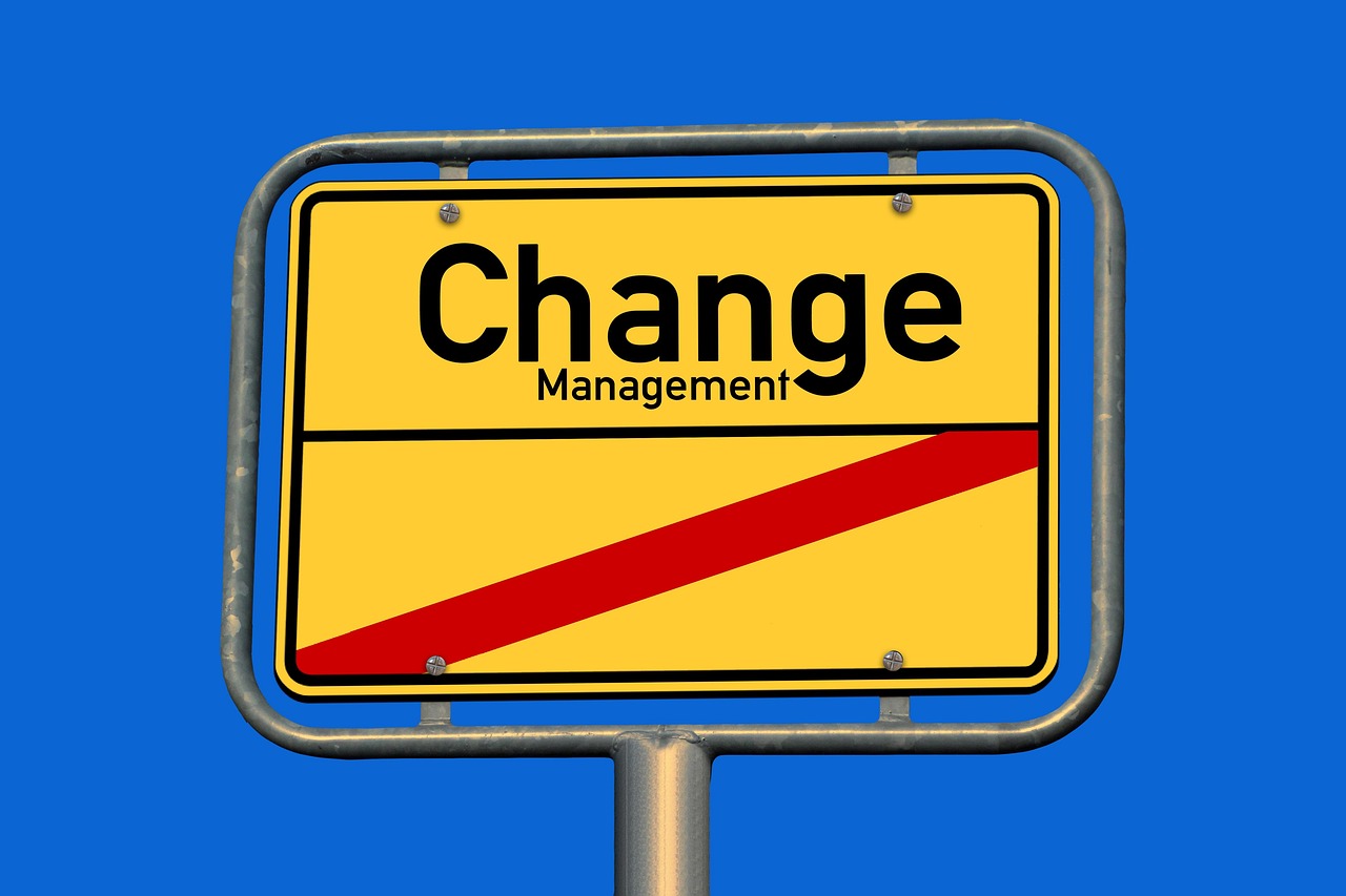Change Management in IT Projects
